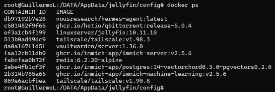 Terminal showing my active Docker containers, including Vaultwarden, Immich, qBittorrent and Hermes AI